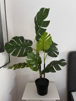 IKEA Fejka, Plastik-Topfpflanze Monstera, 19 cm