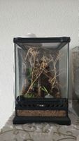 terrarium 20x20x30