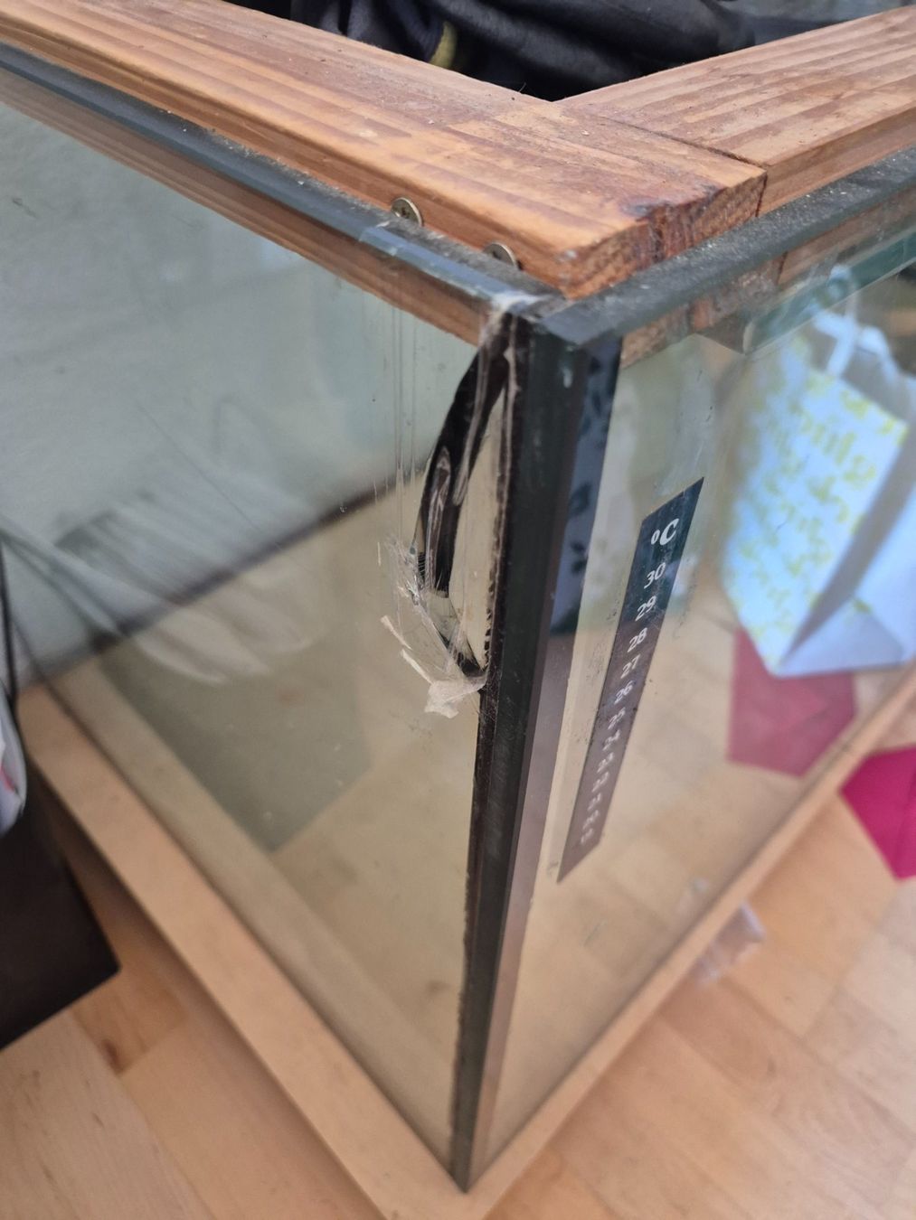 Terrarium: Terrarium – Gebraucht aus Winterberg ZH von kil_f6ds 2