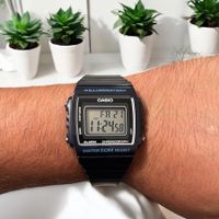 Casio Armbanduhren W-215H-2AVDF