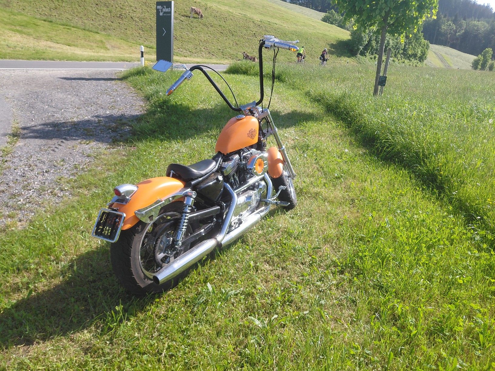 Harley-Davidson Chopper: Harley davidson XL 1200 neu ab Mfk – Usato da Heiden venduto da jan_2yvv 3