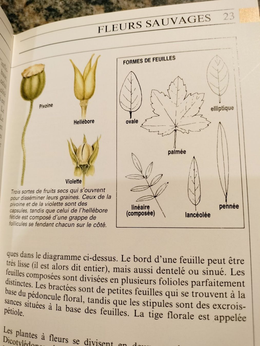 Libri: La vie des plantes – Usato da Cortaillod venduto da rozinna 3