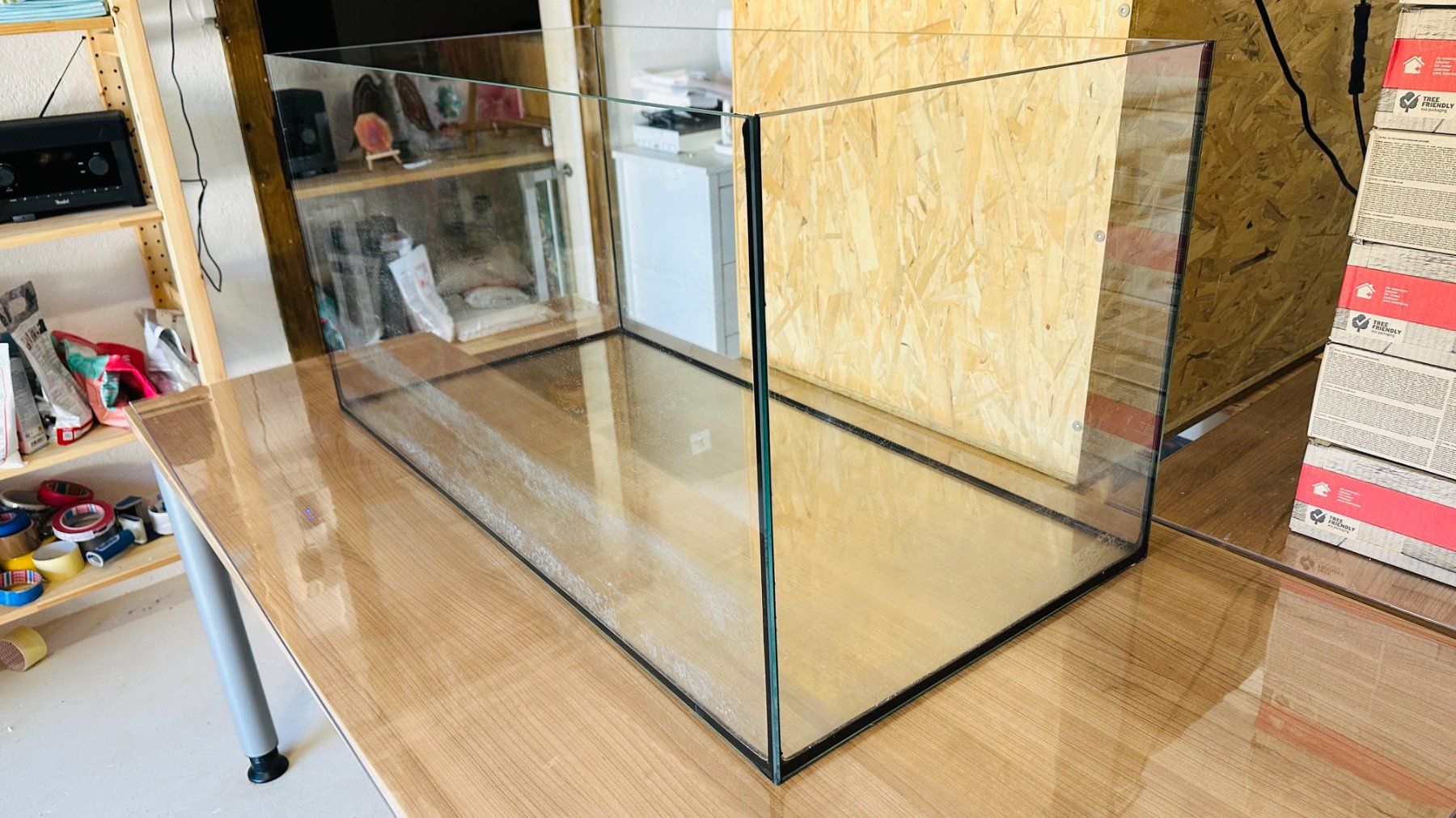 Terrarium: Terrarium – Gebraucht aus Orpund von Catangle 1