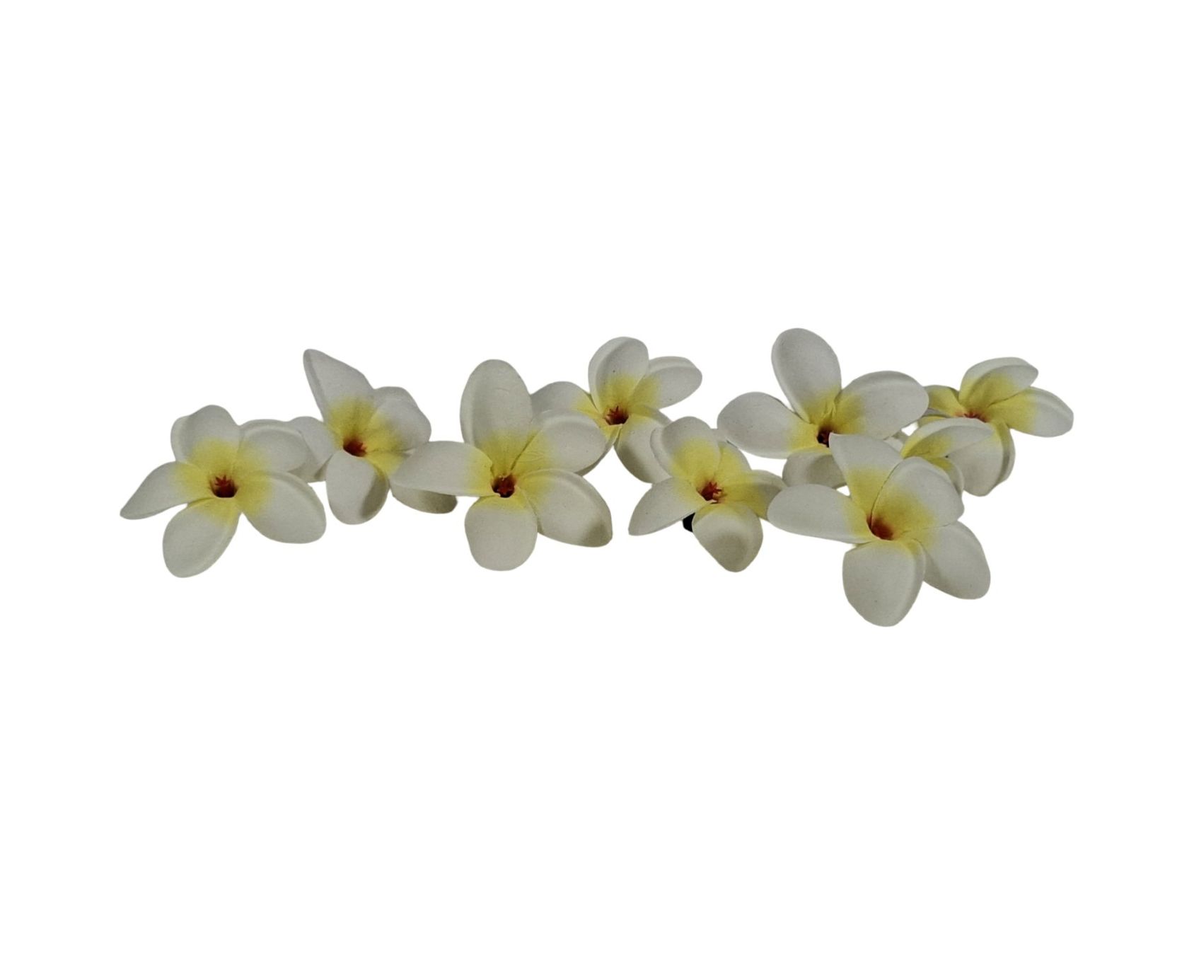 Migros Alle Dekorationen: Deko-Blumen PARADISE – Gebraucht aus Wil SG von Restwert_Wil 1