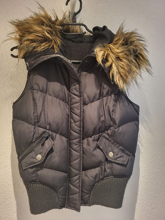 Tierheim Jack Russel Welpen In Not Russel Welpen Chihuahua Jack