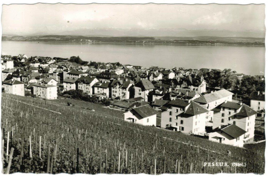 Cartoline postali: AK Peseux – Usato da Zürich venduto da Tolima194