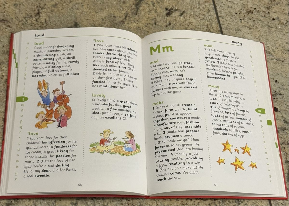 Libri: School Thesaurus Kinderbuch gebrauchter Zustand – Nuovo (secondo la descrizione) da Thal venduto da buz_bsg9 1