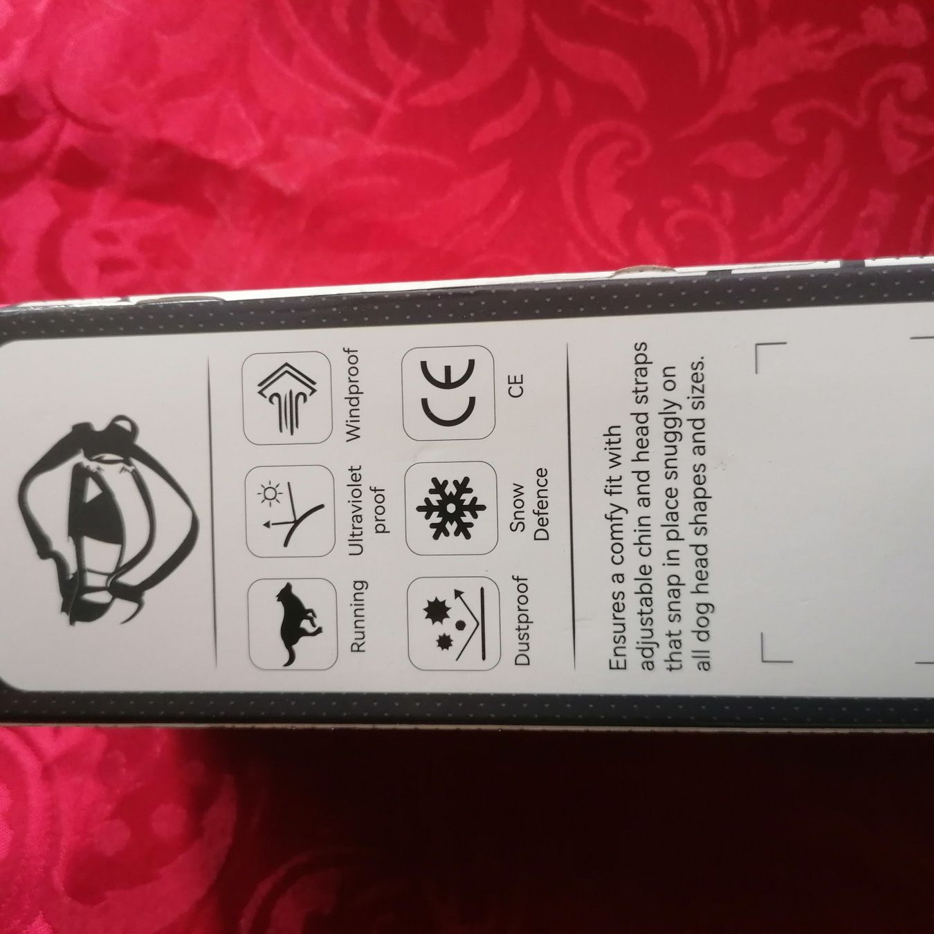 Occhiali & Lenti: Hunde UV Brille – Usato da Trimmis venduto da hasso123 4