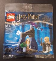 Lego Harry Potter "Draco im verbotenen Wald"