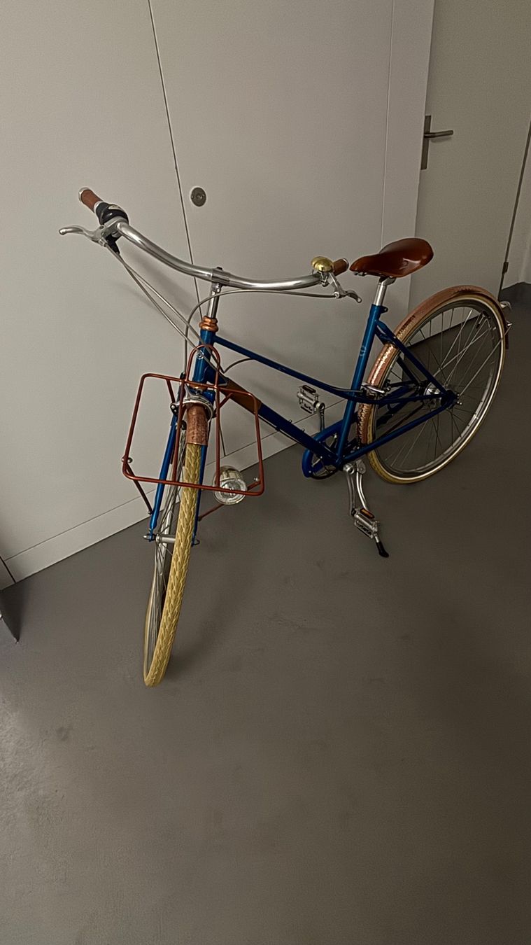 Vélos: Damenfahrrad – D'occasion à Fislisbach par tom_hard 2