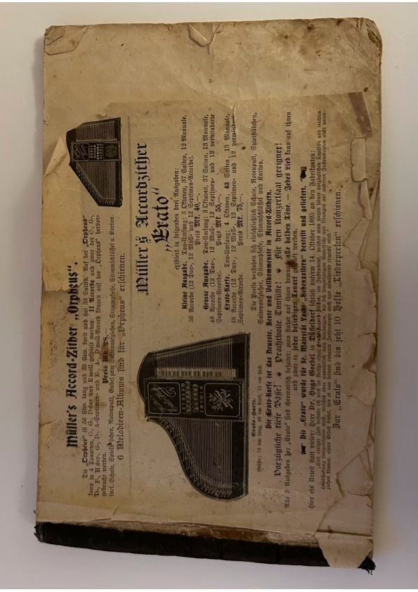 Strumenti musicali: Zither – Usato da Basel venduto da karpfen17 5