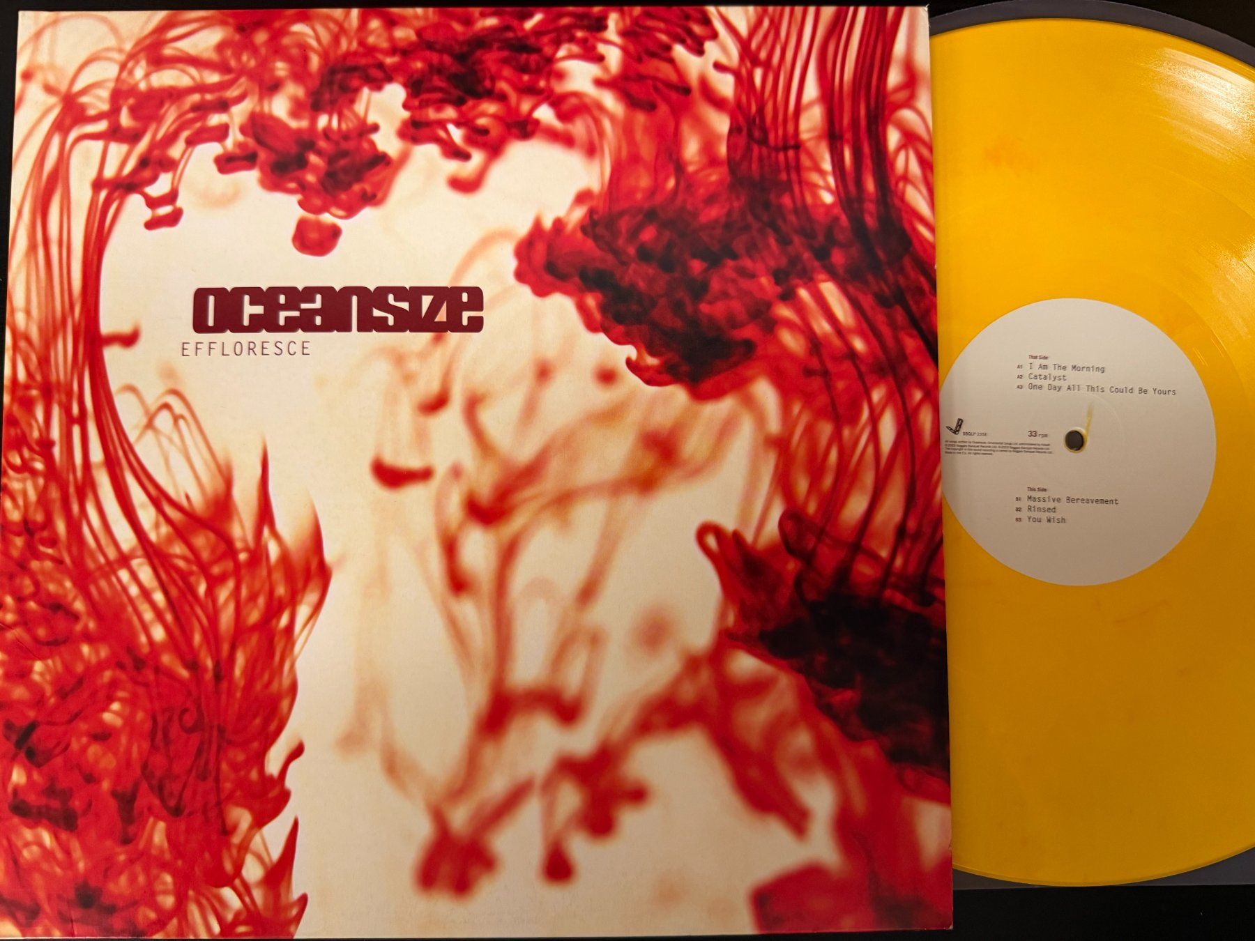Dischi in vinile: Oceansize – Effloresce [2LP UK 2017] – Usato da Tamins venduto da Dark-Skull-Vinyl