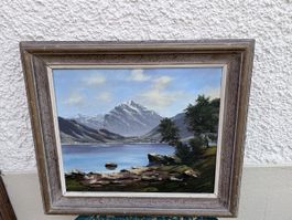  Landschaft Ölgemälde  - Signiert (Nr: 428)