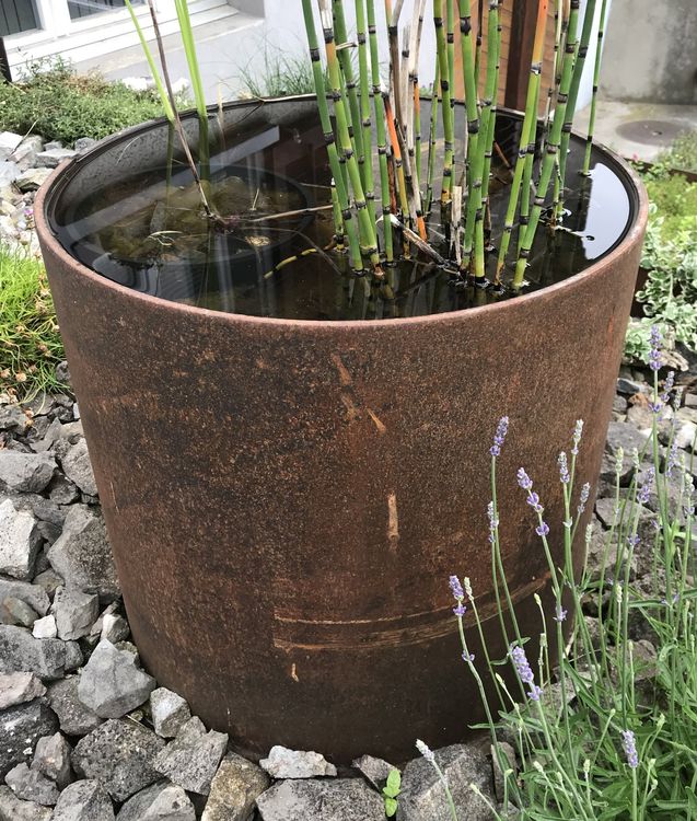 MiniTeich Wasserschale Stahlrohr Pflanzkübel Kaufen auf Ricardo