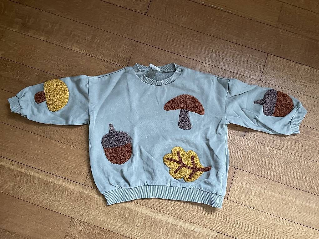 Maglioni & Felpe: Pullover Grösse 92 – Usato da Aarau venduto da regifee6 1