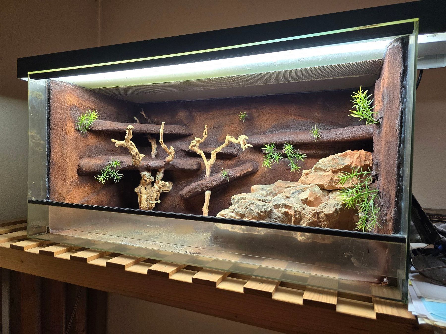 Terrarium: Terrarium – Neu (gemäss Beschreibung) aus Bülach von Resch07 3