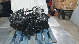 Motor Triumph Tiger 955i Jg 2003