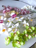 9 Stiele künstlicher Orchideen