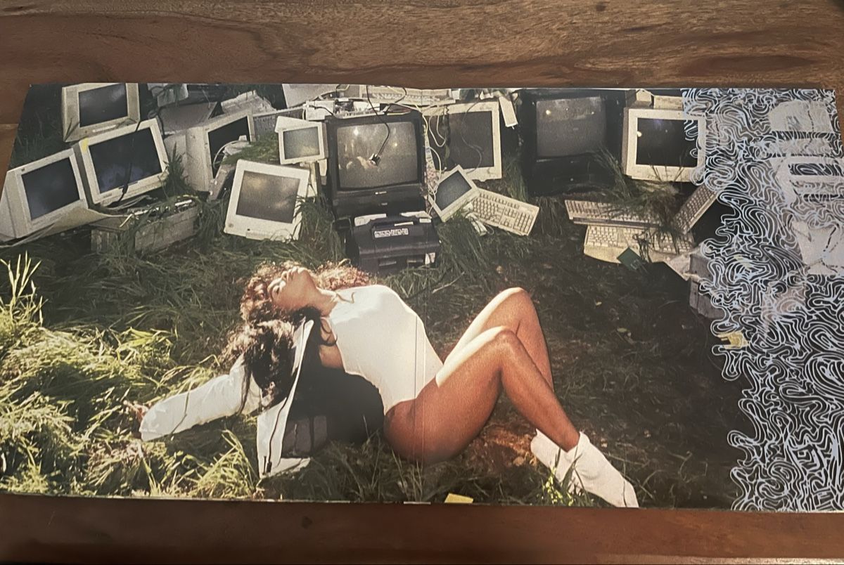 Autografi: SZA – Ctrl (2LP Vinyl) Signed Cover – Usato da Lugano venduto da sol_xmb9 2