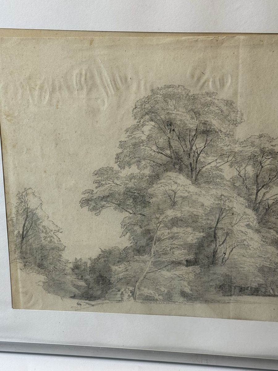 Gemälde: A. Howarth Zeichnung Bauerneiche, ca. 1850 – Gebraucht aus Grenchen von swiss.antiques 2