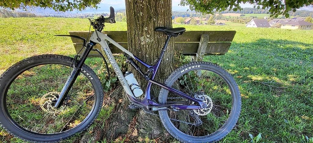 Rocky Mountain Bicycles Biciclette: Rocky Mountain Instinct 50, Gr. M, Carbon – Usato da Mettmenstetten venduto da sangerber