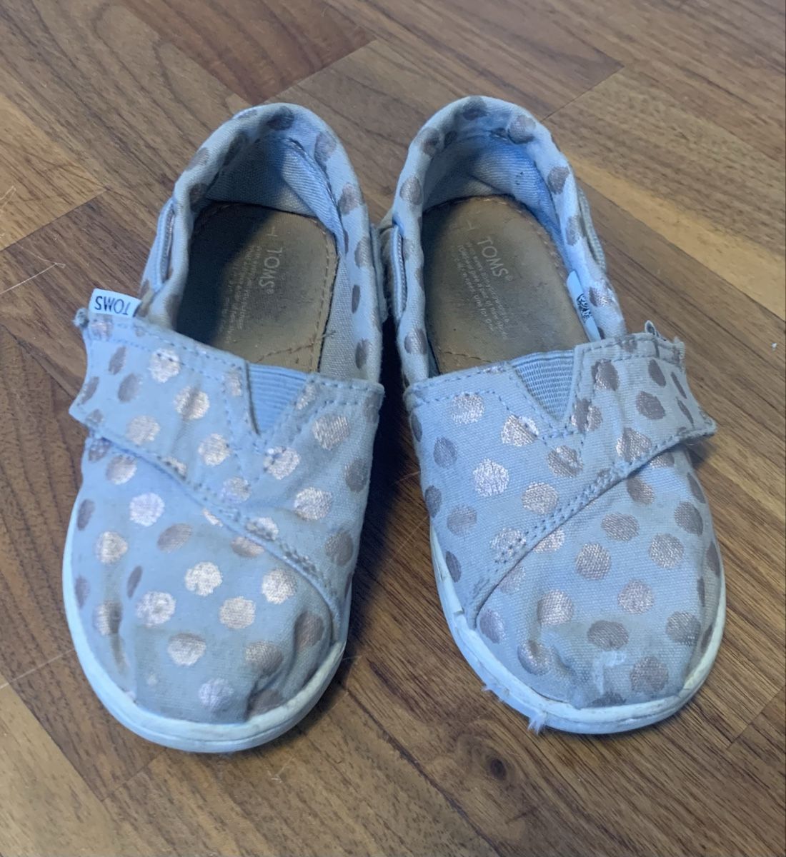 Toms Scarpe per ragazzi: Toms Gr. 26 – Usato da Binz venduto da denise014