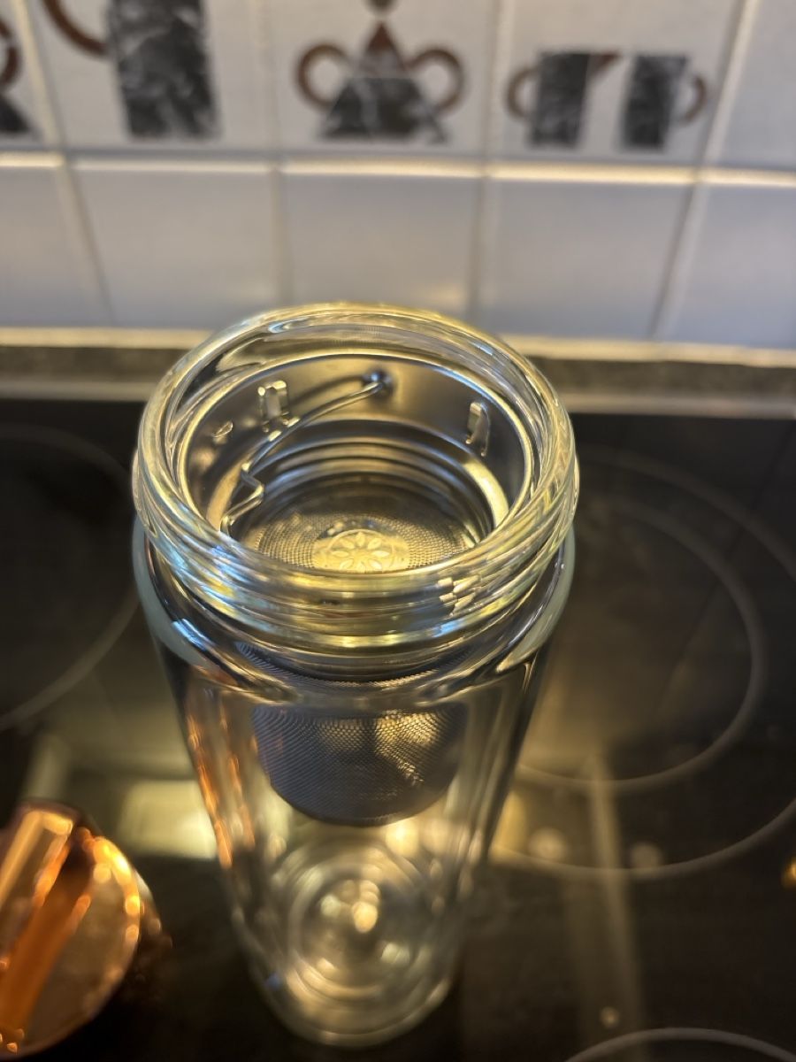 Borracce & Thermos: Fitvia Teeflasche Glas mit Sieb gebraucht – Usato da Hochfelden venduto da lor_xt2h 3