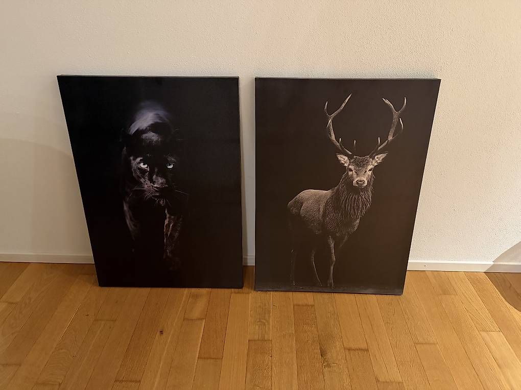 Foto & Immagini: 2 x Wandbilder - 50x70cm – Usato da Dagmersellen venduto da yok_l2fz
