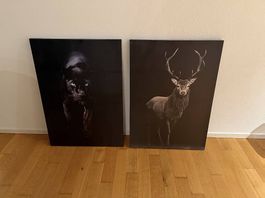 2 x Wandbilder - 50x70cm