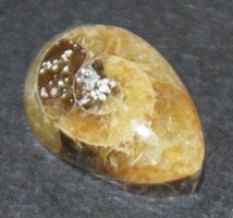 Cabochon L-9669 – Ammonit Fossil Birne 8x12mm