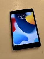 iPad mini 4. Generation LTE 128 GB Grau Top Zustand