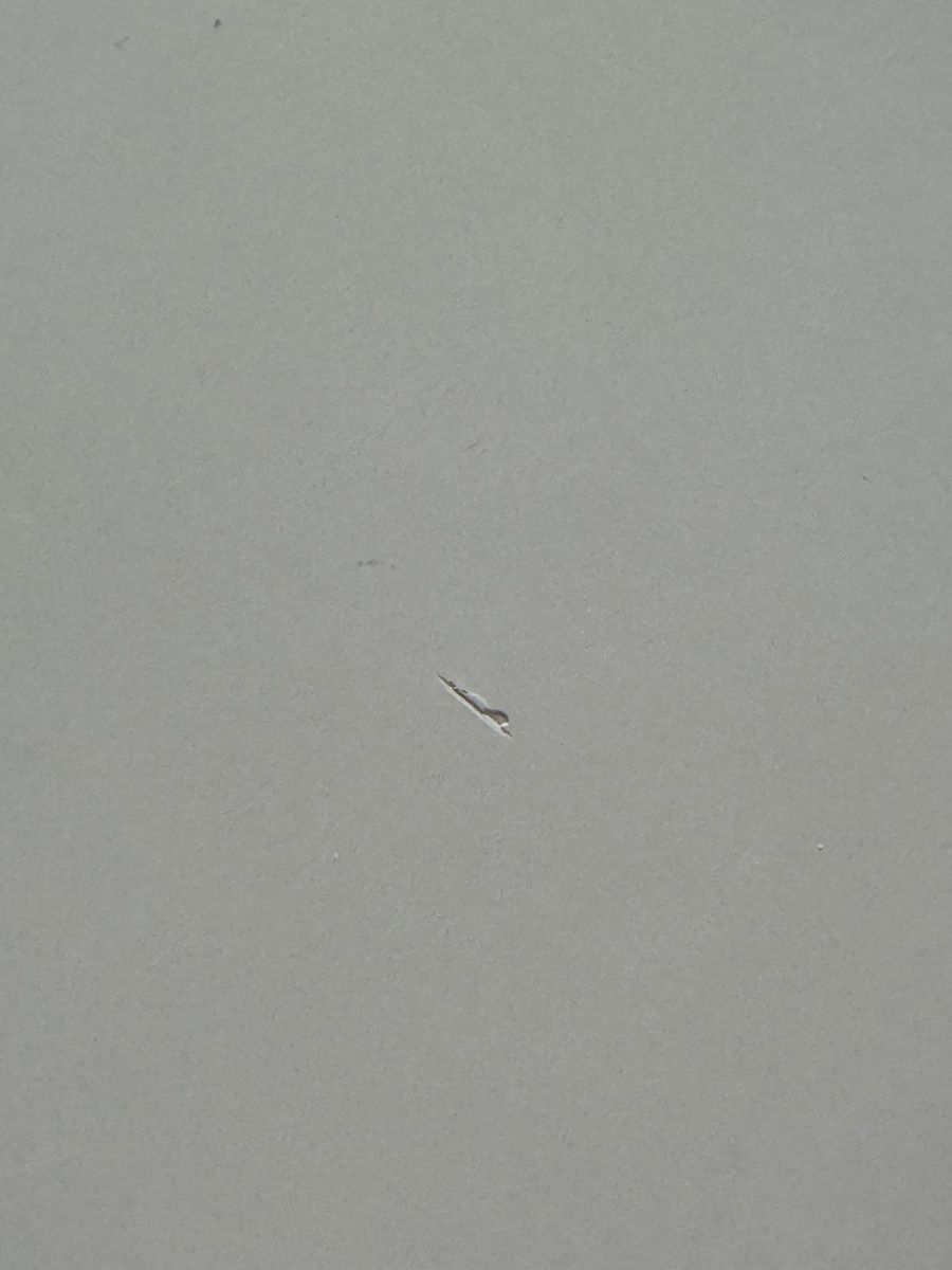 Scrivanie: Schreibtisch Fly – Usato da Grosswangen venduto da Nordlicht-Ricardo 6
