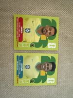 panini sticker