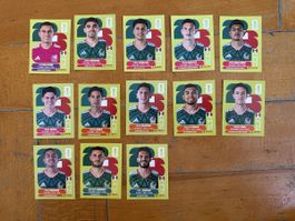 Panini Sticker 2026 MEX, 13 Stück