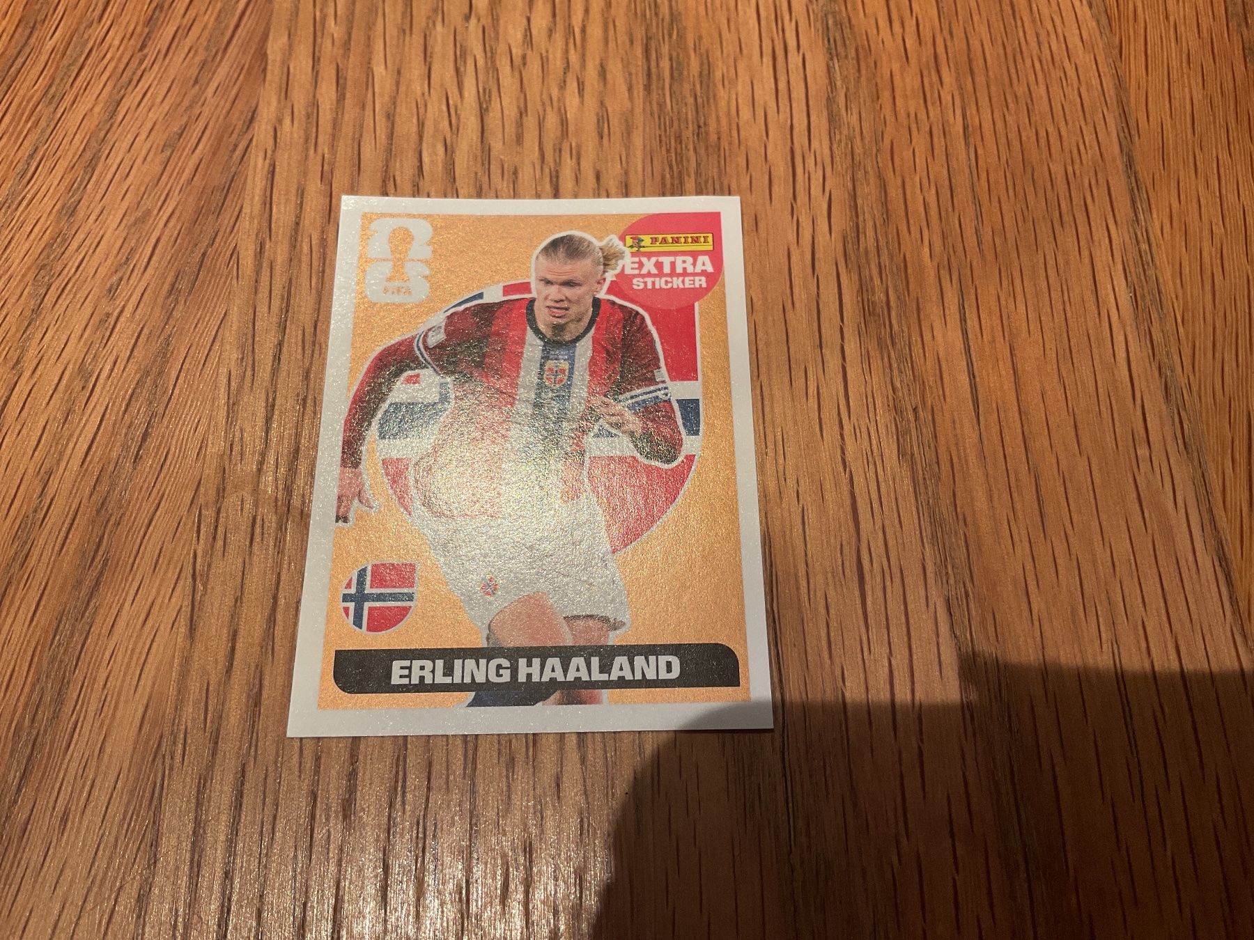 Panini Sammelbilder & Trading cards: Haaland bronzen panini – Gebraucht aus Zürich von lidia76