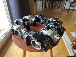 Canon EOS Film Camera Collection - Great for Summer!