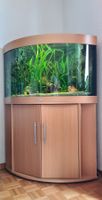 JUWEL Eckaquarium 190 L komplett mit Unterschrank, Aussenfil