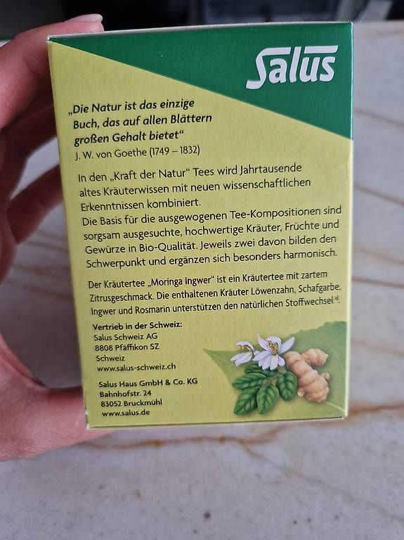 Cibi & Specialità: 6x Salus Bio Moringa Ingwer Tee 15 Filterbeutel  Ungeöffnet – Usato da Wallisellen venduto da GCR01 2