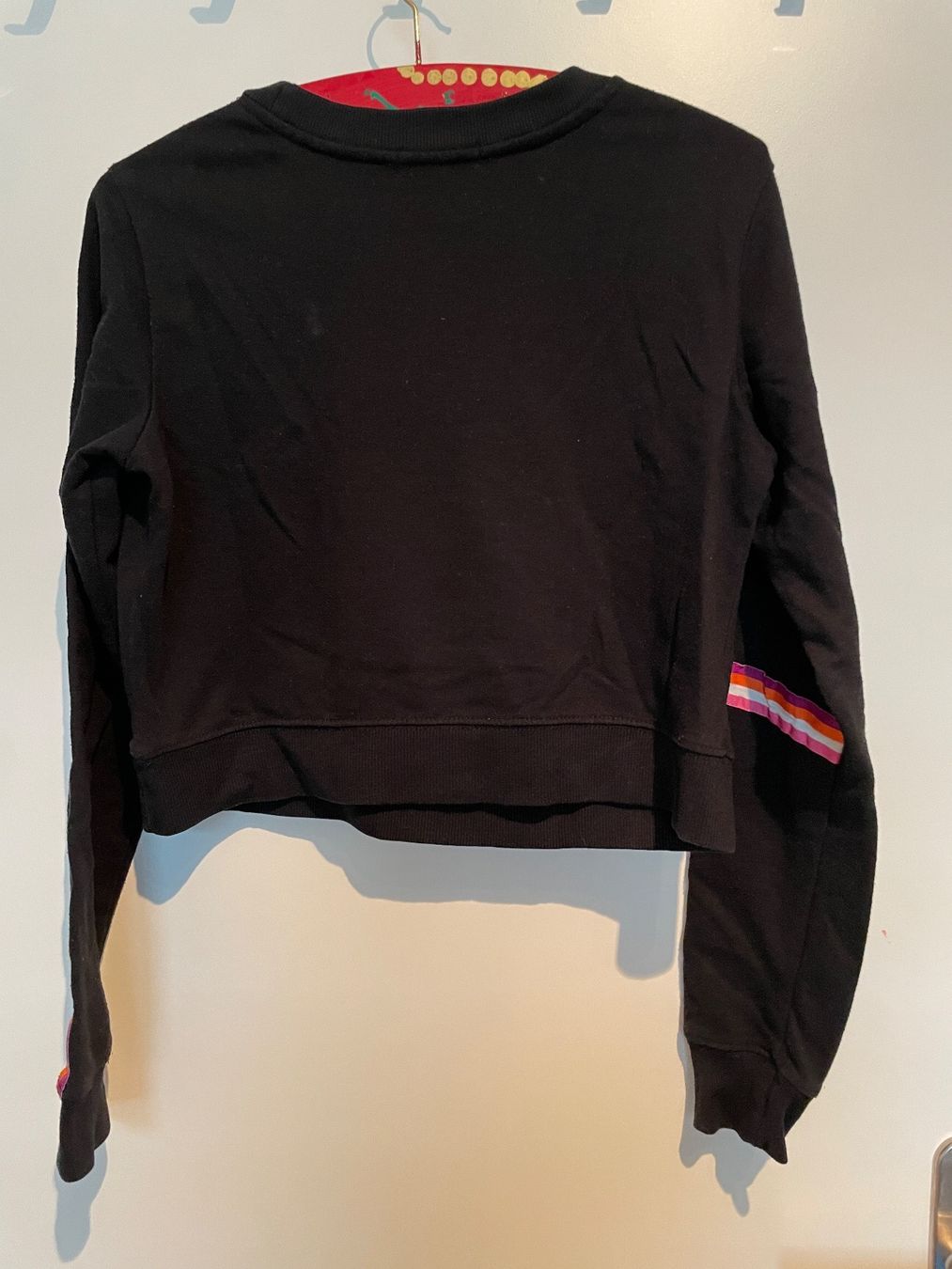 Maglioni & Felpe: Pullover Grösse 158 – Usato da Neuenkirch venduto da balani 1