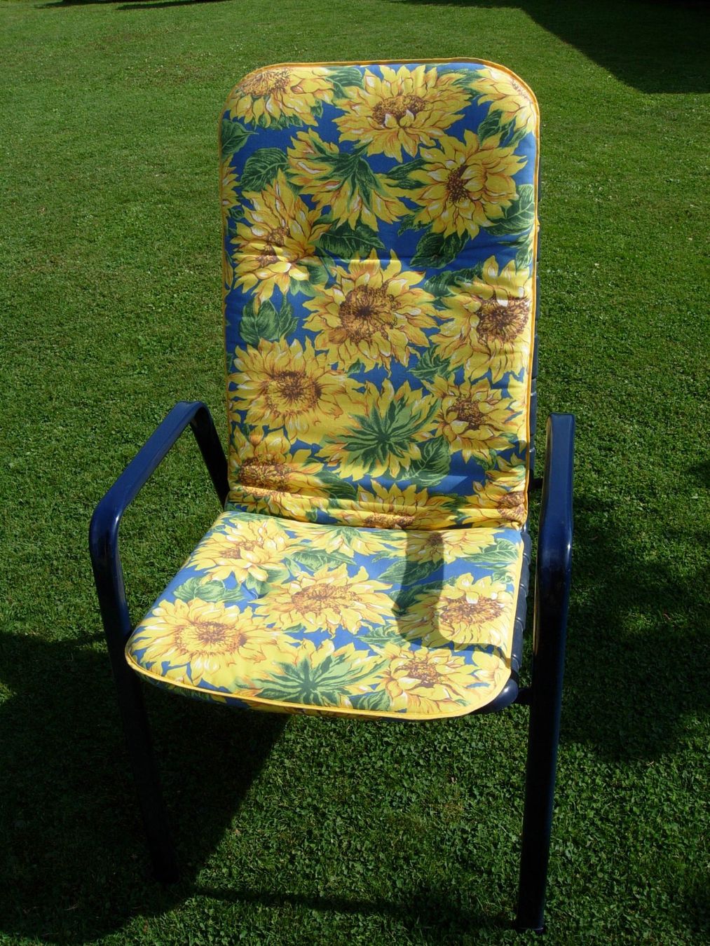 Sedie: Gartenstühle blau mit Polster – Usato da Güttingen venduto da romli 3