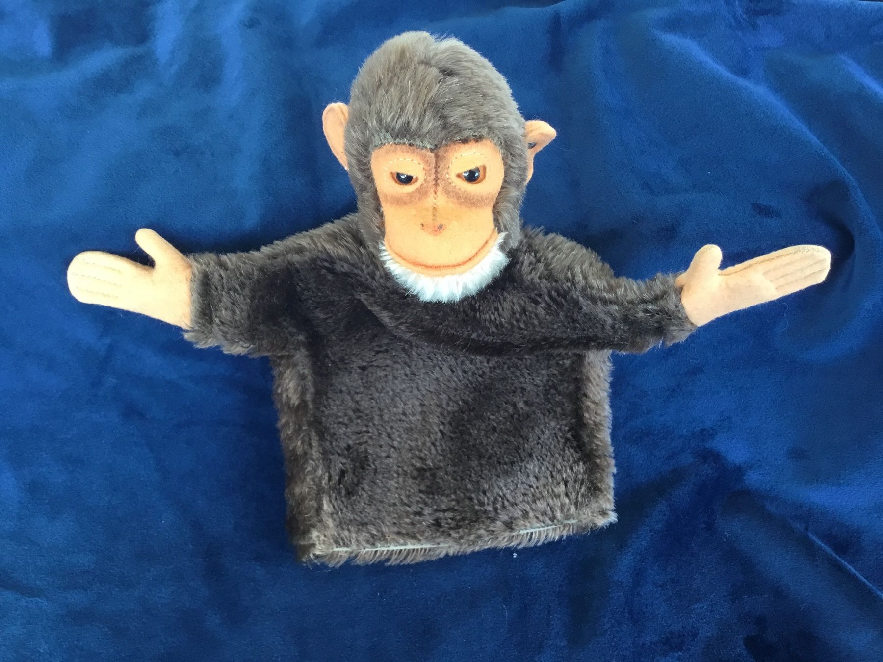 Steiff Giocattoli: Steiff Handpuppe Affe Jocko – Usato da Gossau ZH venduto da ClaudealDente