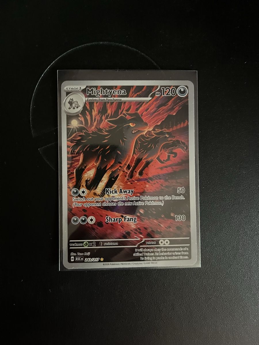 Pokémon Carte collezionabili: Ascended Hereos Mightyena - 243/217 – Usato da Winterthur venduto da Brachypelma007