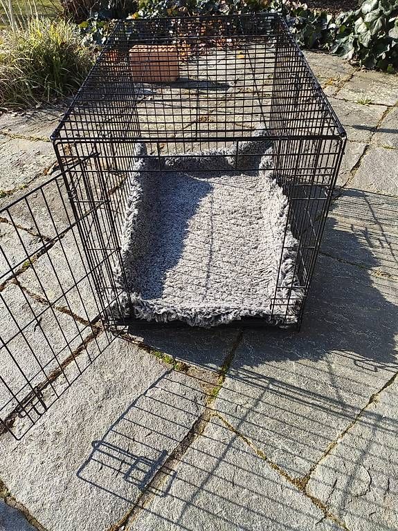 Gabbie, trasporto & Sicurezza: Hundegitter mit Decke – Usato da Kernenried venduto da Lemoger 1
