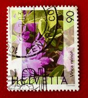 Nr.1074 Gemeines Flora,Immmergrün GESTEMPELT 2003    