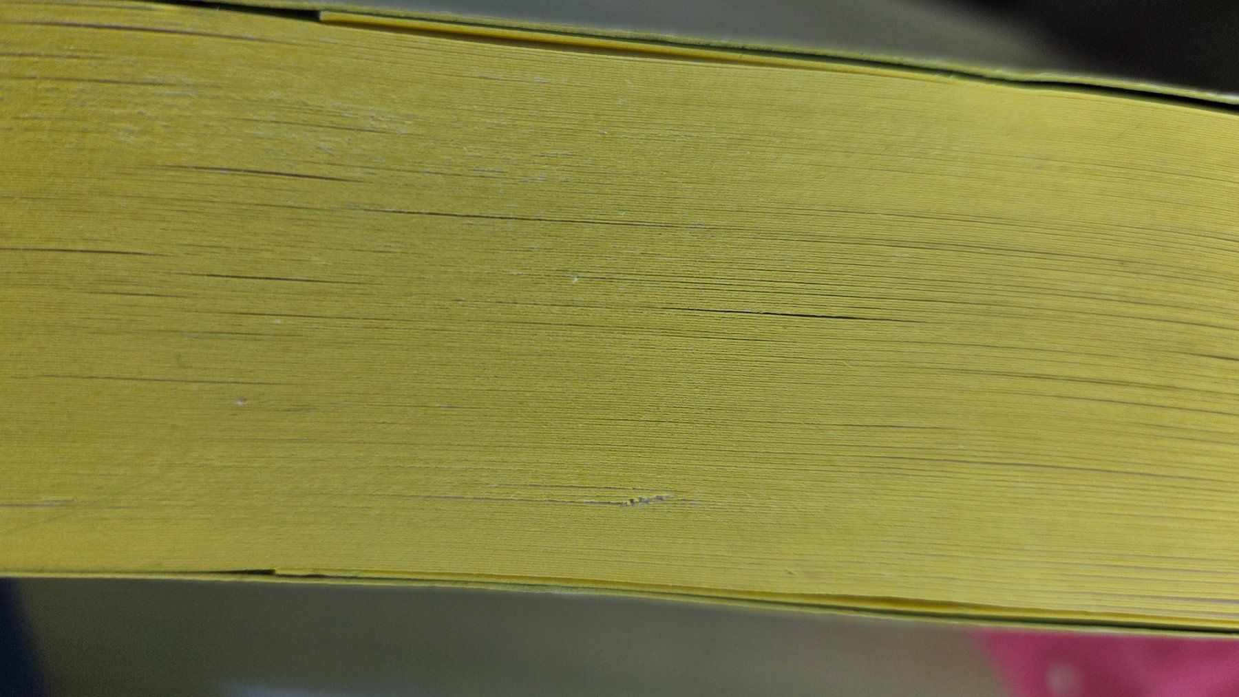 Bücher: Freida McFadden Der Lehrer – Gebraucht aus Weggis von Leeclipse 2