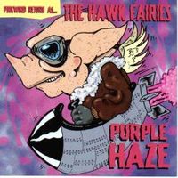 The Hawk Fairies – Purple Haze
