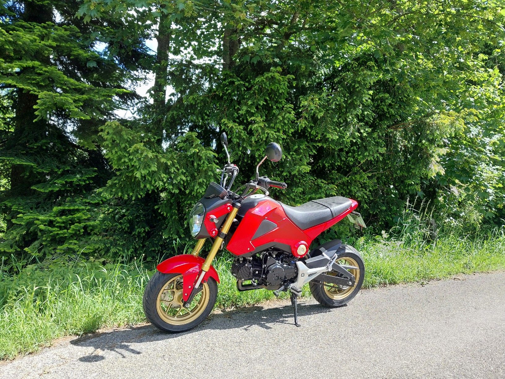 Honda Strasse: Honda MSX 125, frisch ab MFK – Gebraucht aus Saland von Lehmann600 1