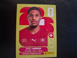 Panini WM 26 SUI 7
