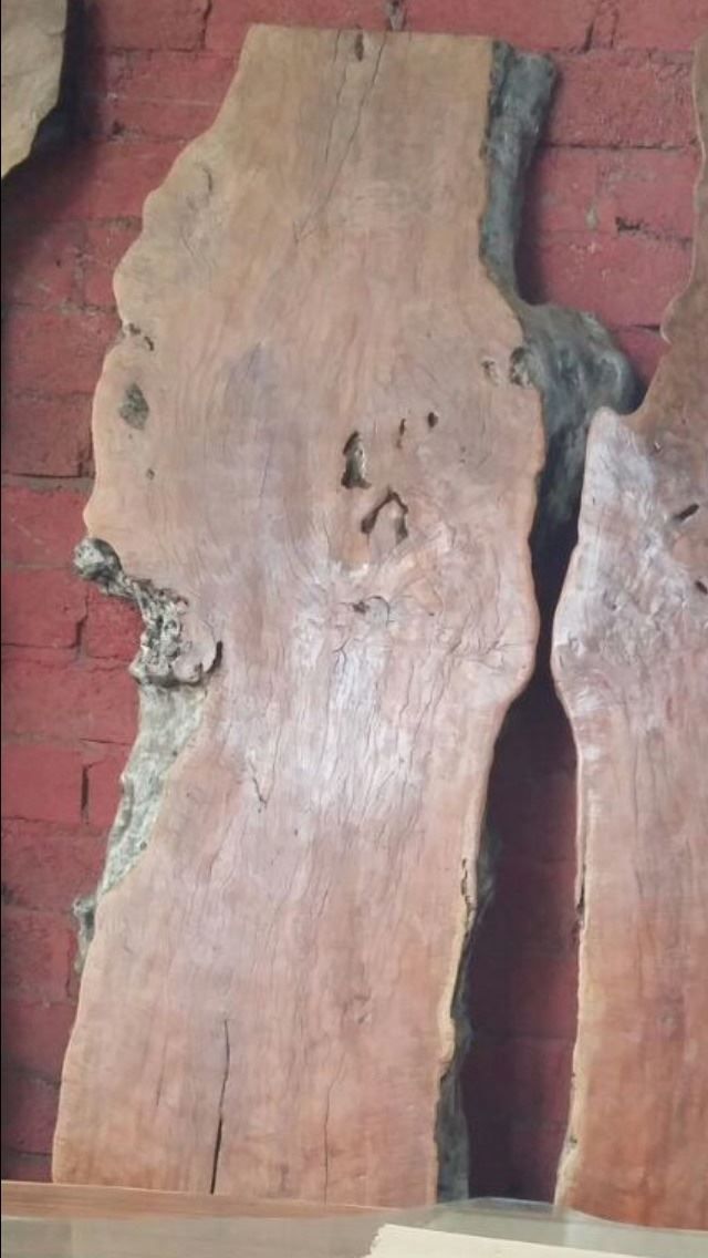 Tische: Tisch Baumscheibentisch Longan Holz Esstisch Gartentisch – Neu und originalverpackt aus Daisendorf von Wohn-Kult 9