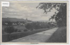 Grosswangen - Generalansicht